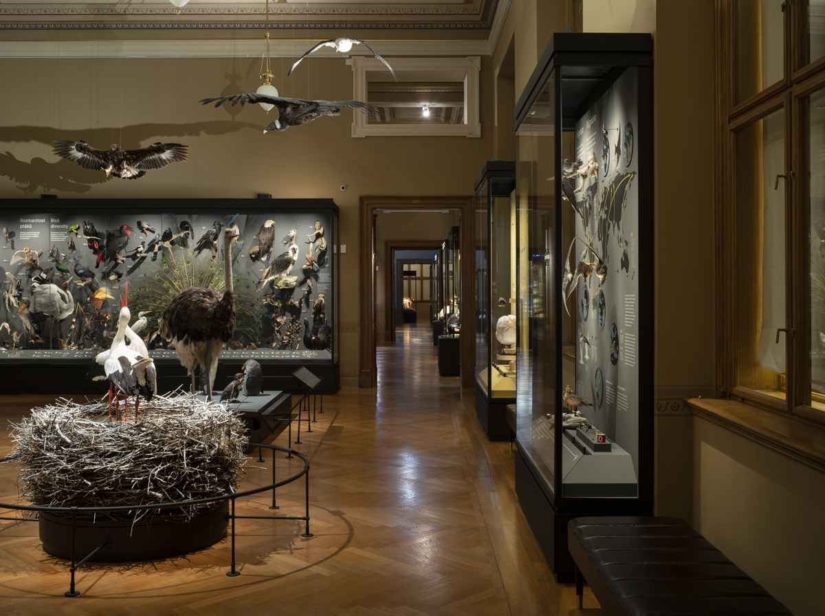 Osvětlení expozic Zázraky evoluce v Národním Muzeu