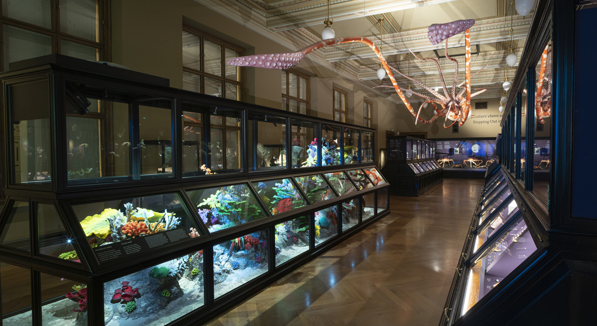 Osvětlení expozic Zázraky evoluce v Národním Muzeu
